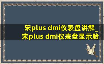 宋plus dmi仪表盘讲解_宋plus dmi仪表盘显示胎压